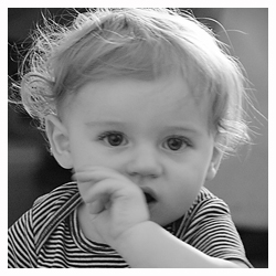 Gainesville Photographer